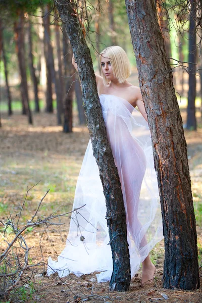 stock image The girl in wood